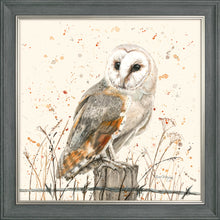 Load image into Gallery viewer, Oswald