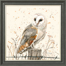 Load image into Gallery viewer, Oswald