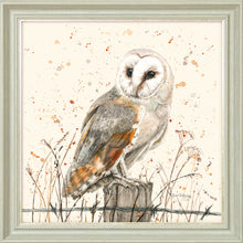 Load image into Gallery viewer, Oswald