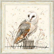 Load image into Gallery viewer, Oswald