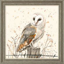 Load image into Gallery viewer, Oswald