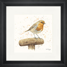 Load image into Gallery viewer, Robert