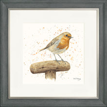 Load image into Gallery viewer, Robert