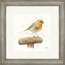 Load image into Gallery viewer, Robert