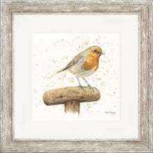 Load image into Gallery viewer, Robert