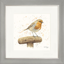 Load image into Gallery viewer, Robert