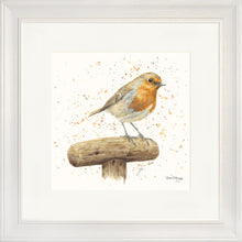 Load image into Gallery viewer, Robert