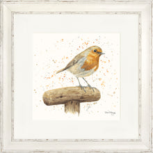 Load image into Gallery viewer, Robert