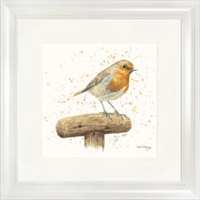 Load image into Gallery viewer, Robert