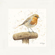 Load image into Gallery viewer, Robert