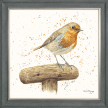 Load image into Gallery viewer, Robert