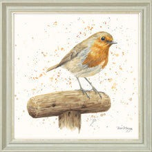 Load image into Gallery viewer, Robert