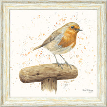 Load image into Gallery viewer, Robert