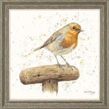 Load image into Gallery viewer, Robert