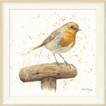 Load image into Gallery viewer, Robert