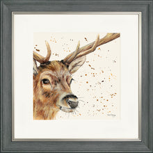 Load image into Gallery viewer, Sable
