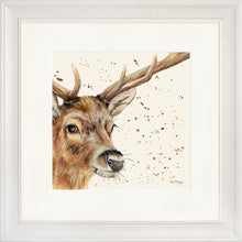 Load image into Gallery viewer, Sable
