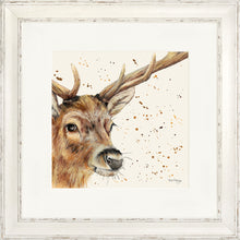 Load image into Gallery viewer, Sable