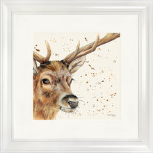 Load image into Gallery viewer, Sable