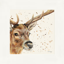 Load image into Gallery viewer, Sable