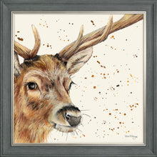Load image into Gallery viewer, Sable