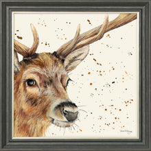 Load image into Gallery viewer, Sable
