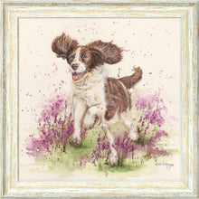 Load image into Gallery viewer, Skipper