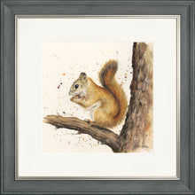 Load image into Gallery viewer, Stiles