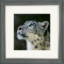 Load image into Gallery viewer, Sultan