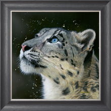 Load image into Gallery viewer, Sultan
