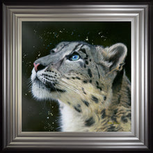 Load image into Gallery viewer, Sultan