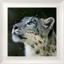 Load image into Gallery viewer, Sultan