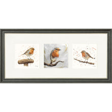 Load image into Gallery viewer, The Robins