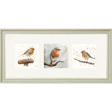 Load image into Gallery viewer, The Robins