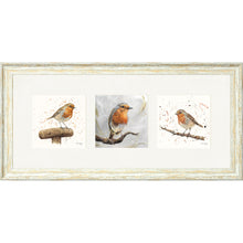 Load image into Gallery viewer, The Robins