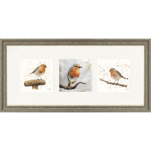 Load image into Gallery viewer, The Robins
