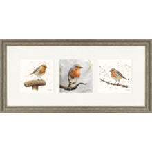 Load image into Gallery viewer, The Robins