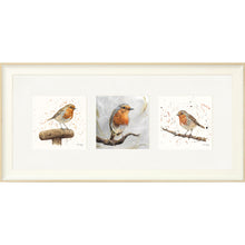 Load image into Gallery viewer, The Robins