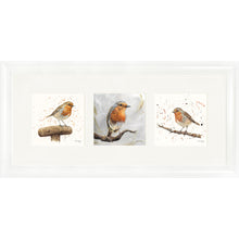Load image into Gallery viewer, The Robins