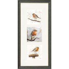 Load image into Gallery viewer, The Robins