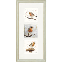Load image into Gallery viewer, The Robins