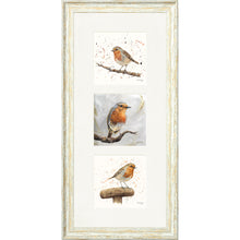 Load image into Gallery viewer, The Robins