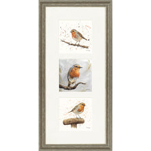 Load image into Gallery viewer, The Robins
