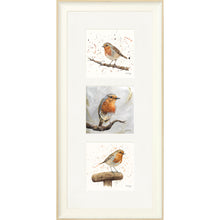 Load image into Gallery viewer, The Robins