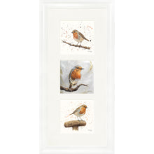 Load image into Gallery viewer, The Robins