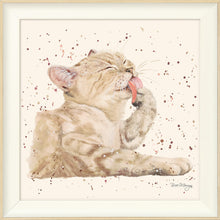 Load image into Gallery viewer, Toffee