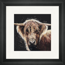 Load image into Gallery viewer, Amber