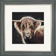 Load image into Gallery viewer, Amber