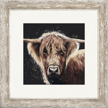 Load image into Gallery viewer, Amber