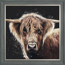 Load image into Gallery viewer, Amber